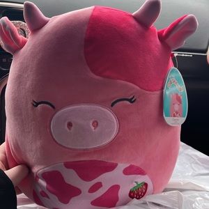 calynda squishmallow